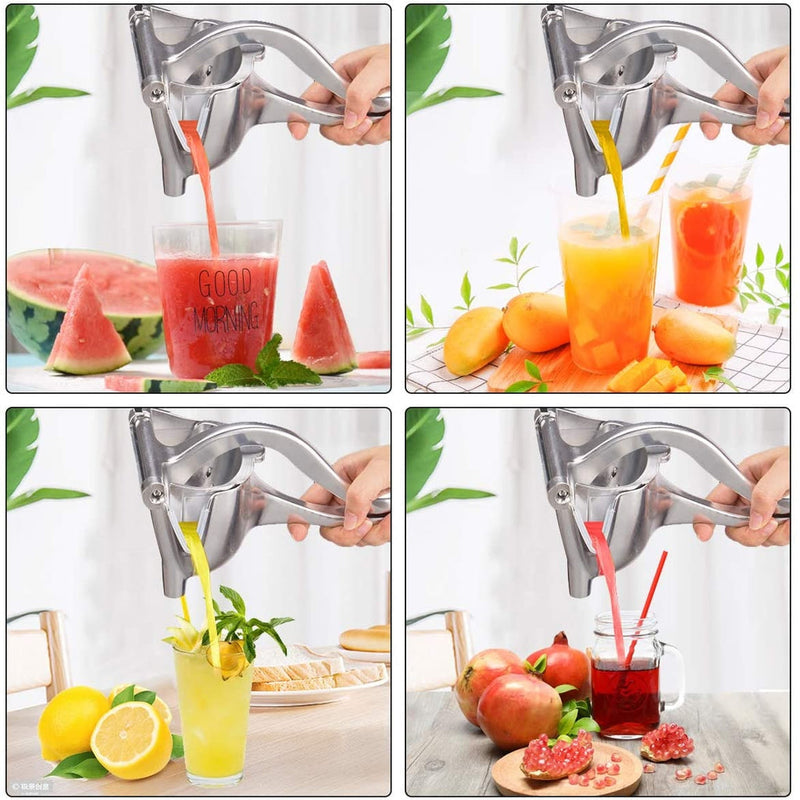 Espremedor de Frutas para Sucos e Vitaminas Instantâneo