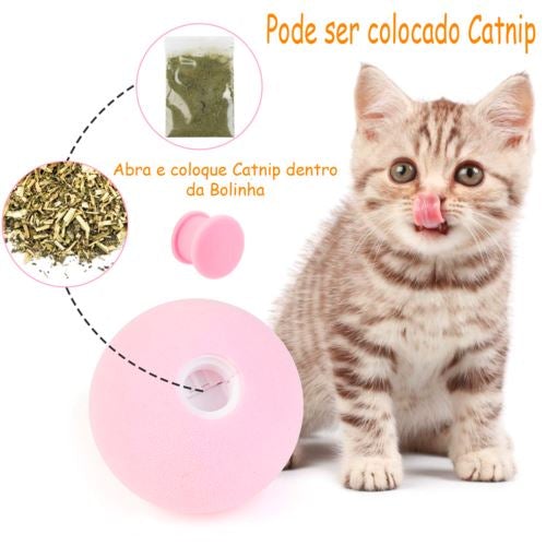 Bolinhas Para Pets interativas coloridas