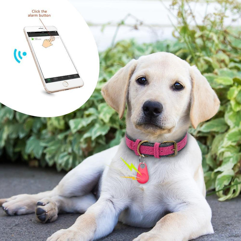 Rastreador GPS Coleira Para Cachorros e Gatos